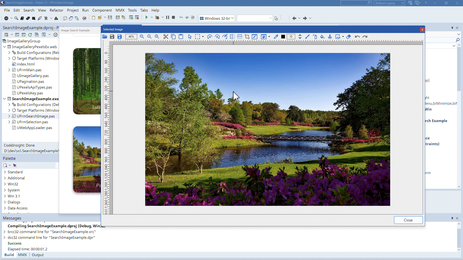 ImageEn loading an image from a web component